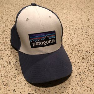 Patagonia baseball hat